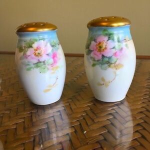 Vintage Bavaria Porcelain Salt & Pepper Shaker Set
